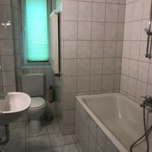 Freundliche 2 -Zimmer-Wohnung zum 01.11.2024 zu vermieten - Foto 3