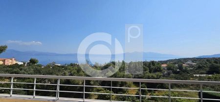 Διαμέρισμα για ενοικίαση Μαλεσίνα - Photo 4