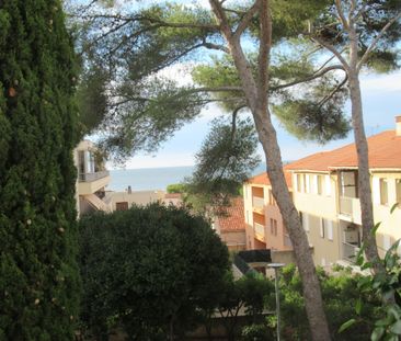 Location Appartement 1 pièce 33m² SAUSSET LES PINS 13960 - Photo 5
