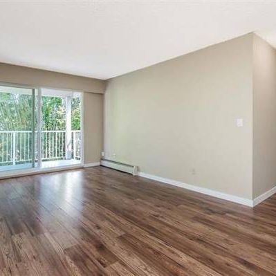 Spacious 2 Bedroom Top Floor Corner Condo with own Parking - Photo 3