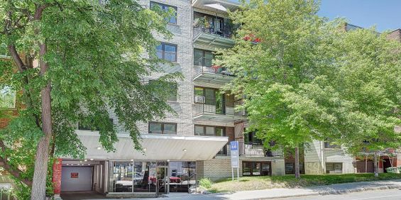 1 chambre - 3333 Édouard-Montpetit, Montréal - Photo 3
