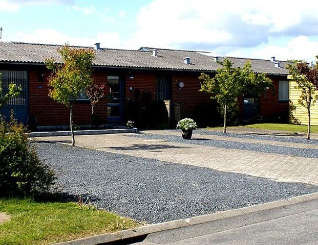 Sæbygårdparken - Foto 1