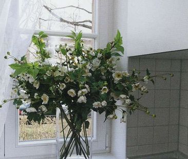 Altenberger Straße 62, 01277 Dresden - Photo 5