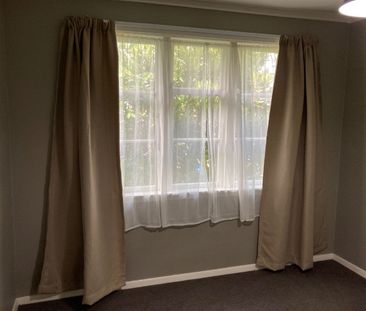 20 Bell Street, Tawa - Photo 5