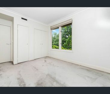 In the heart of all the action - Photo 1