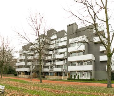 Rijtse Akkers, 60 - Foto 1