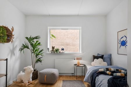 Velkommen til Store Grundet Alle! - Foto 4