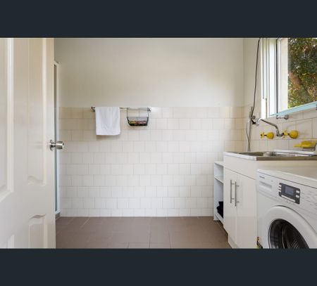 41 St Davids Road, Haberfield, NSW 2045 - Photo 3