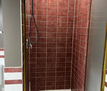 1 Bedroom Basement Suite in Westpark! Gas Fireplace! - Photo 6