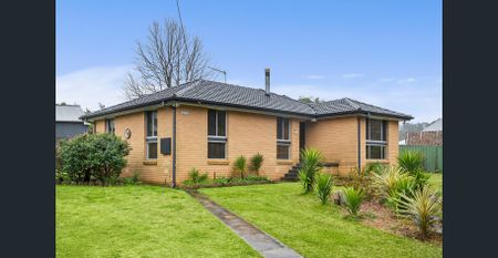 Neat & Tidy - Photo 3