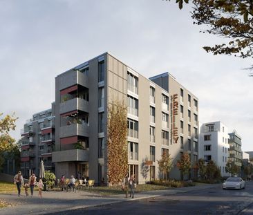 Rent a 2 ½ rooms apartment in Zürich - Photo 6