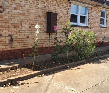 2 Martin Street GLYNDE SA 5070 - Photo 4