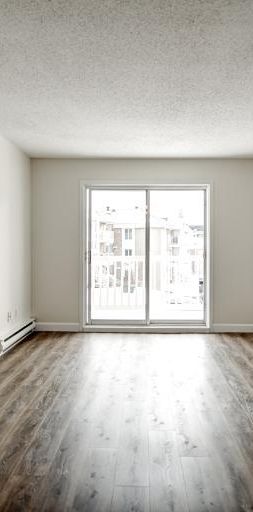 Appartement 3 ½ à louer Sainte-Foy / Sillery février 2026 - Photo 1