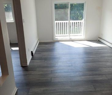 logement 3 1/2 au 2e- 3e étages 244 Denison O 870$- 885$ - Photo 2