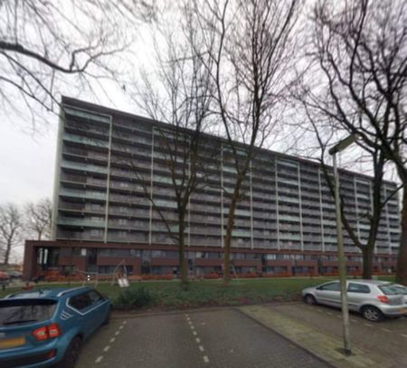 Appartement de 3 chambres au rez-de-chaussée à Monnickendam - Foto 2