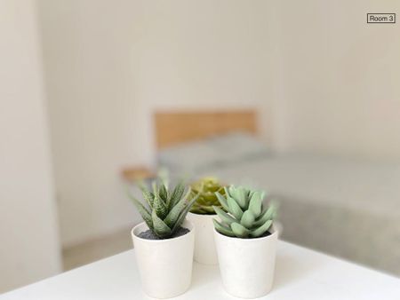 Plaza Gelo, Sevilla, Andalusia 41009 - Photo 4