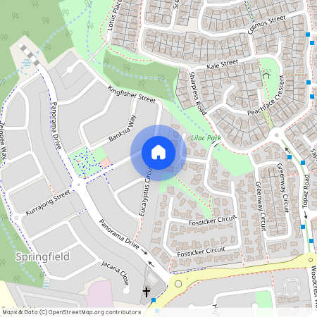 6 Eucalyptus Cct, Qld 4300, Springfield