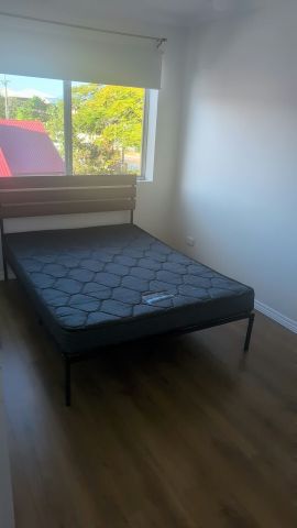 Coorparoo - Photo 3