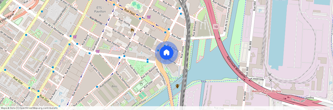 115 Rue Murray, Montréal (Le Sud-Ouest), QC H3C