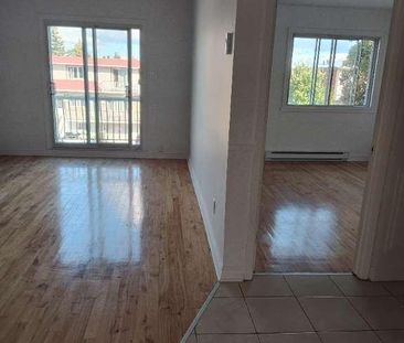 4 1/2 St. Leonard Viau/Lavoisier $1500 - Photo 1