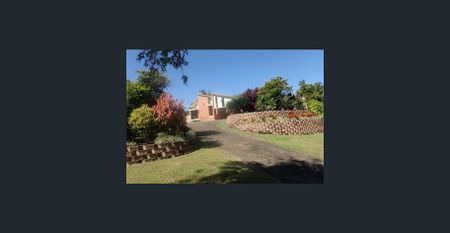 ELEVATED MOUNT PLEASANT HOME - Photo 2