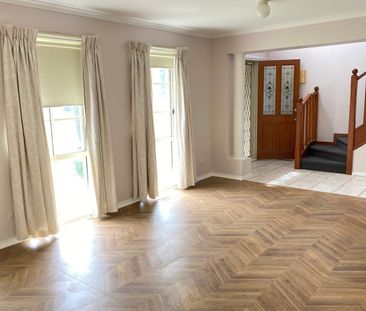 Paradise on Park - Photo 1