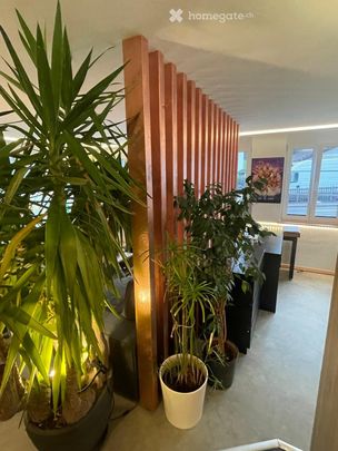 1-Zimmer-Wohnung in Fischenthal - Photo 1