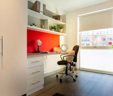 Deluxe Studio - Photo 2