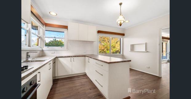 Updated Living in the Heart of Bulleen! - Photo 1