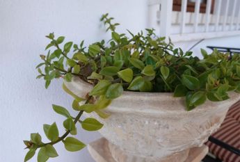 Piso de alquiler en Calle Raïm de Pastor, 23, El Montgó