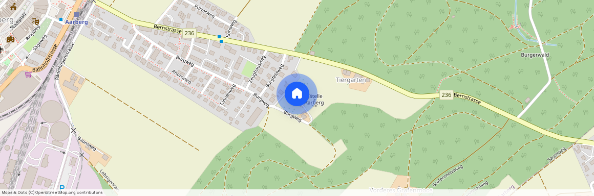 3270, Aarberg, Burgweg, 41