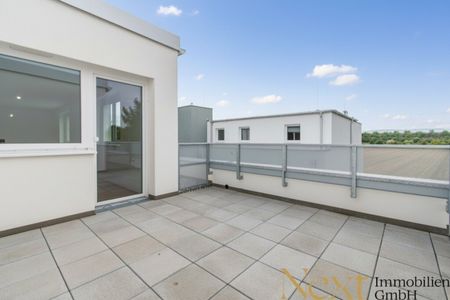 Wunderschöne 4-Zimmer-Wohnung mit sonniger Terrasse in St. Pölten zu vermieten - Miete mit Kaufoption! - Photo 5