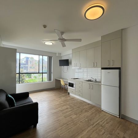 Spacious studio apartment for lease - Photo 3
