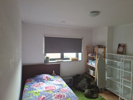 2 kamers (als geheel)te huur in Geel Ten Aard - Photo 2