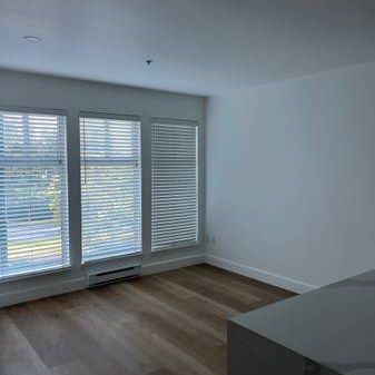 1 Bedroom Condo for Rent in Beautiful Dunbar - Photo 4