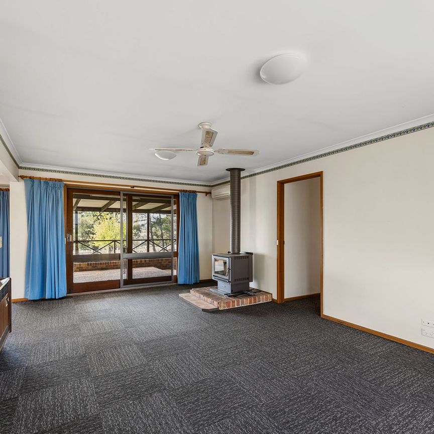 PEACEFULLY SET FAMILY HOME - Photo 1