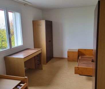 5.5 Zimmerwohnung im EG mit Terrasse in Montets - Foto 6