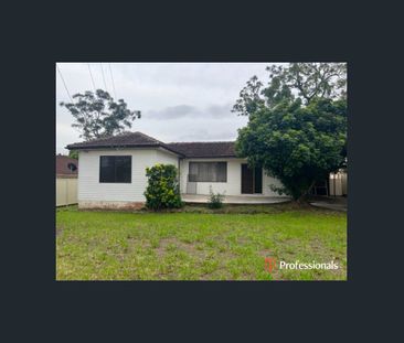 Great size house with a yard for the kids - Photo 4