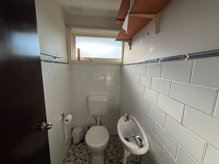 Elegant Elder - Photo 4