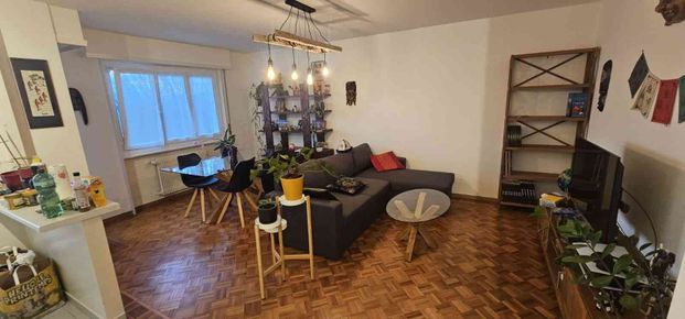 2 Zimmer, 50 m², 1. Stock - Foto 1