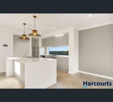 24 Ecology Avenue, Cumbalum, NSW 2478 - Photo 3