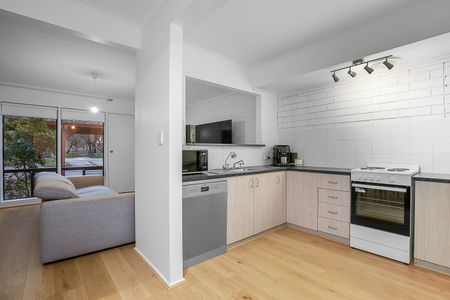 3/24 Cohen Court, Clovelly Park SA 5042 - House For Rent - $600 | Domain - Photo 4