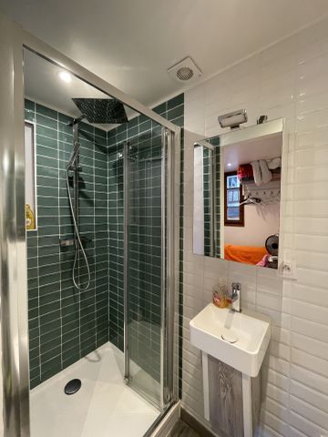 Location Appartement 1 pièce 22m² ANNECY 74000 - Photo 4