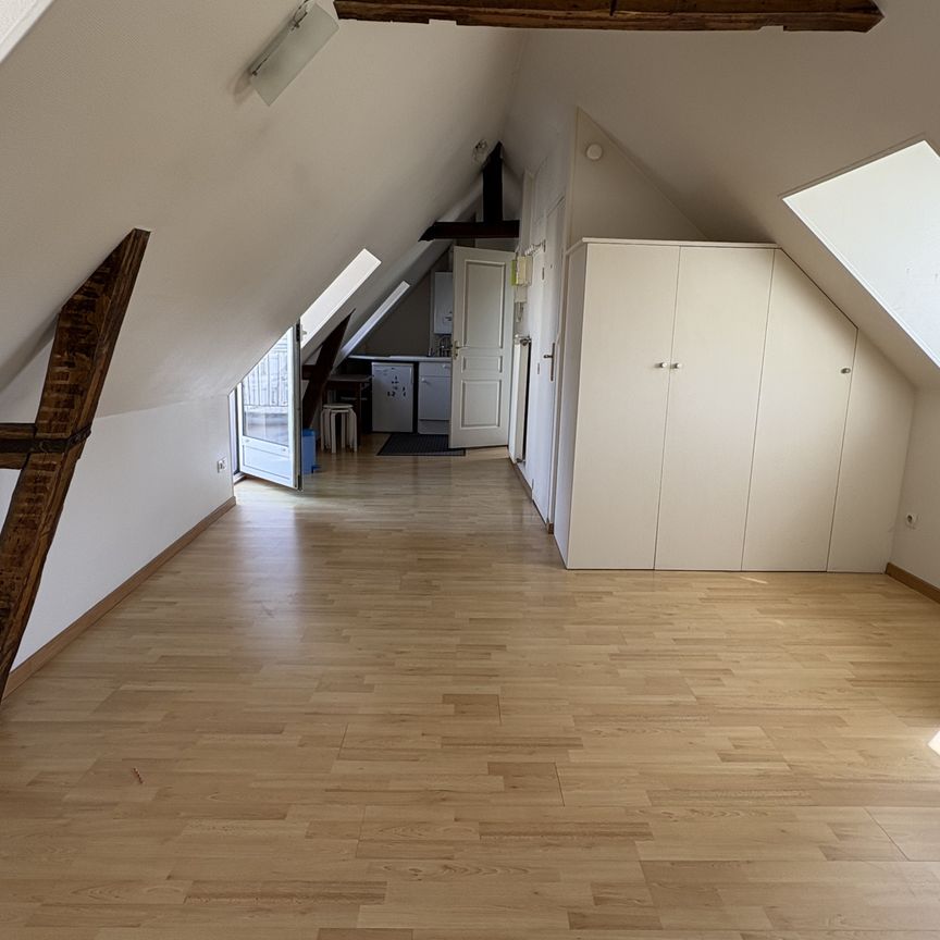 STUDIO DE 21 M2 AVEC TERRASSE Comprenant Séjour coin cuisine ... - Photo 1