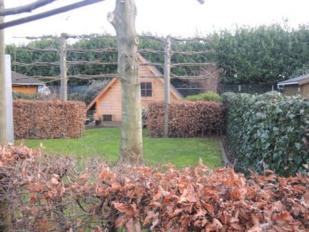 EENGEZINSWONING + tuin & garage - Photo 4