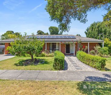 Spacious Home Opposite Longwarry Primary School - Photo 6