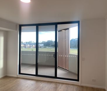 Spacious Bedrooms plus security car space Apartments available now - Photo 4