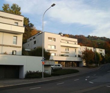 Living in a sunny location with a view of the lake - Photo 1
