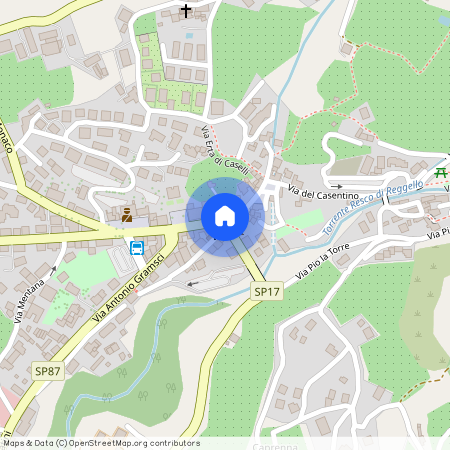 Reggello (Fi)