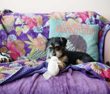 Healesville - Photo 1